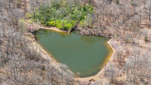 N Lombard Ln, Skiatook, OK 74070