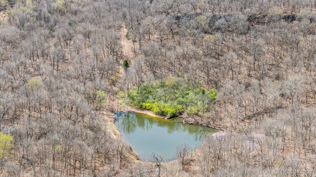 N Lombard Ln, Skiatook, OK 74070