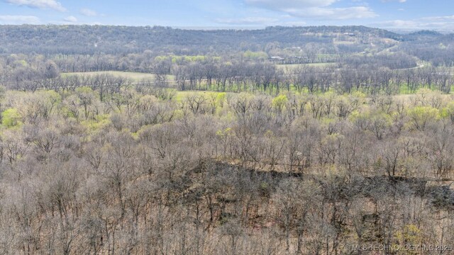 N Lombard Ln, Skiatook, OK 74070
