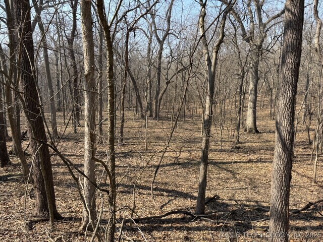 N Lombard Ln, Skiatook, OK 74070