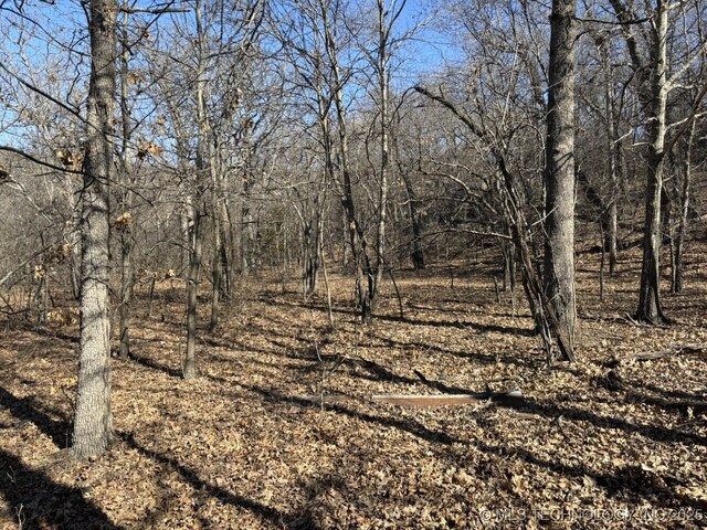 N Lombard Ln, Skiatook, OK 74070