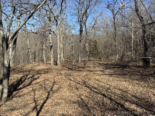 N Lombard Ln, Skiatook, OK 74070