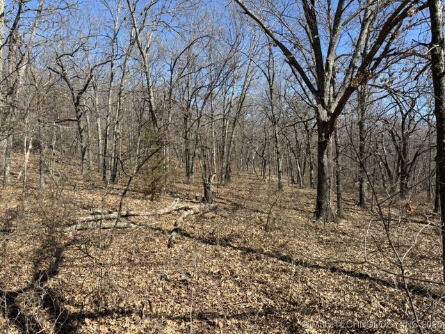 N Lombard Ln, Skiatook, OK 74070