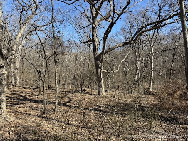 N Lombard Ln, Skiatook, OK 74070