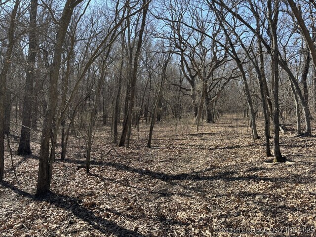 N Lombard Ln, Skiatook, OK 74070
