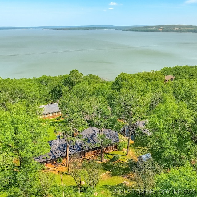 1645 Marian Ln, Eufaula, OK 74432 - drone / aerial view of a forest