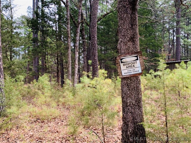413822 S Sherman, Moyers, OK 74557 - details featuring a view of trees