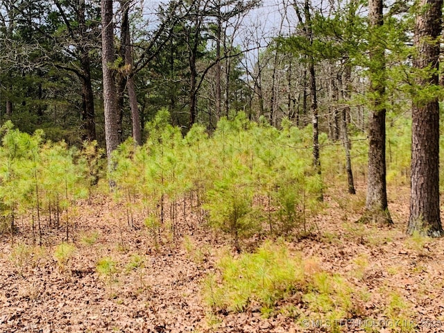 413822 S Sherman, Moyers, OK 74557 - view of landscape featuring a view of trees