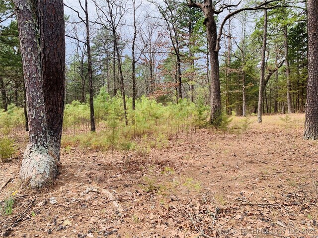 413822 S Sherman, Moyers, OK 74557 - view of local wilderness featuring a forest view