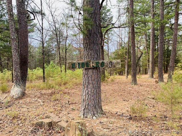 413822 S Sherman, Moyers, OK 74557 - view of local wilderness