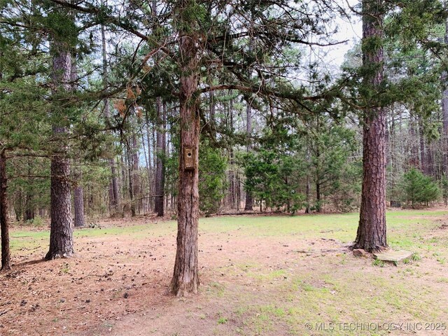 413822 S Sherman, Moyers, OK 74557 - view of yard featuring a wooded view