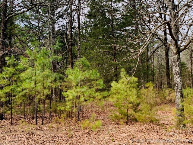 413822 S Sherman, Moyers, OK 74557 - view of landscape with a view of trees