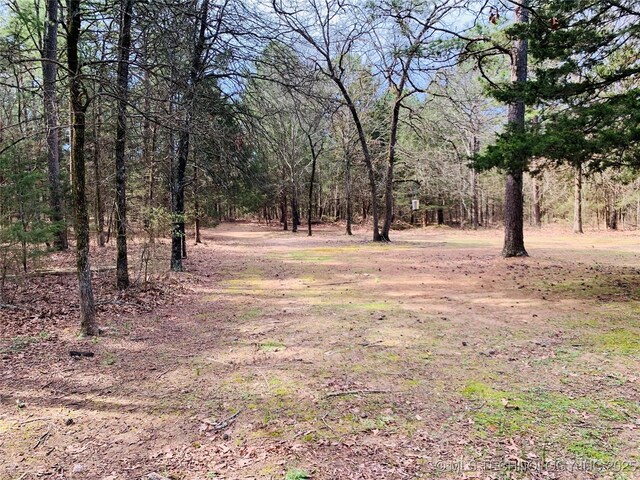 413822 S Sherman, Moyers, OK 74557 - view of yard