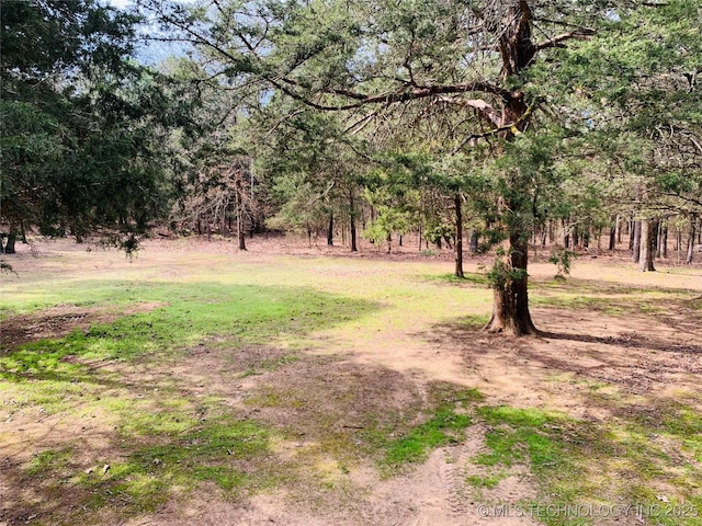 413822 S Sherman, Moyers, OK 74557 - view of yard