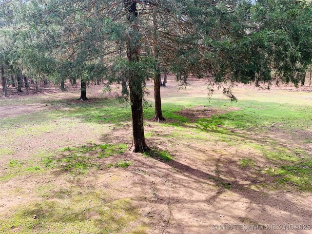 413822 S Sherman, Moyers, OK 74557 - view of yard