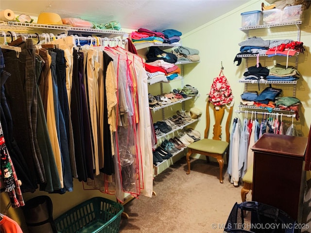 413822 S Sherman, Moyers, OK 74557 - walk in closet with carpet
