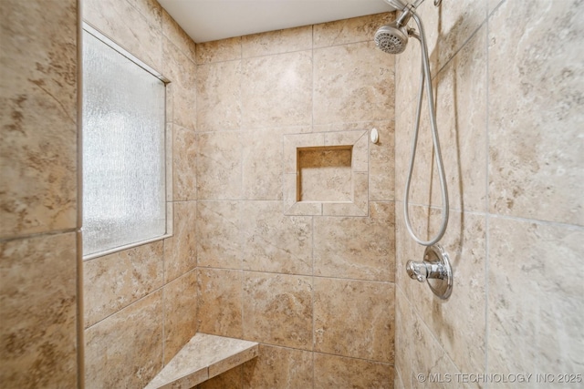 bathroom view of a tile shower
