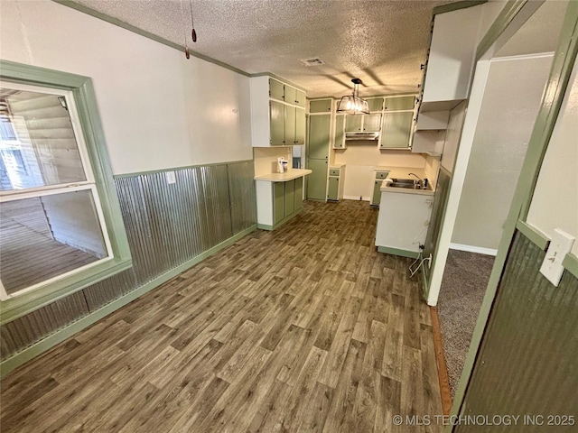 112 S 7th St, Eufaula, OK 74432 - kitchen featuring dark wood-style floors, a textured ceiling, a wainscoted wall, under cabinet range hood, and a sink