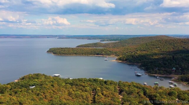 bird's eye view with a water view and a wooded view