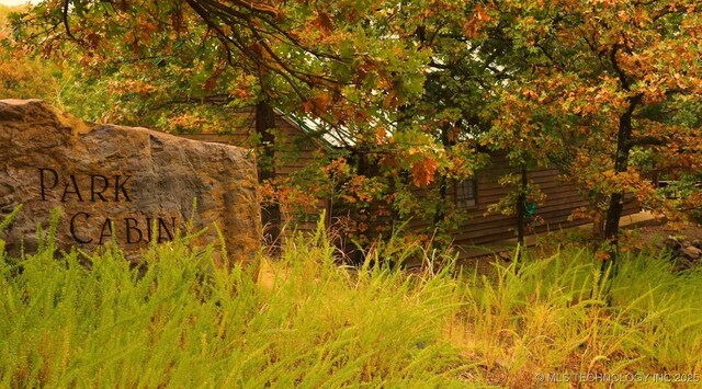 view of local wilderness