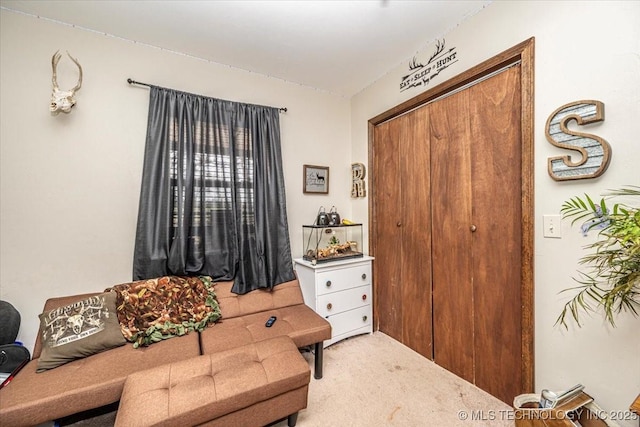 living area featuring carpet floors