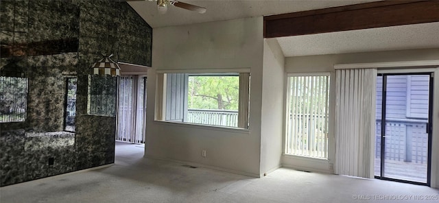 7502 S Winston Pl Unit 203, Tulsa, OK 74136 - empty room with carpet flooring, a ceiling fan, healthy amount of natural light, high vaulted ceiling, and baseboards