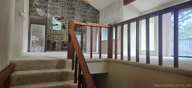 7502 S Winston Pl Unit 203, Tulsa, OK 74136 - stairway with plenty of natural light and high vaulted ceiling