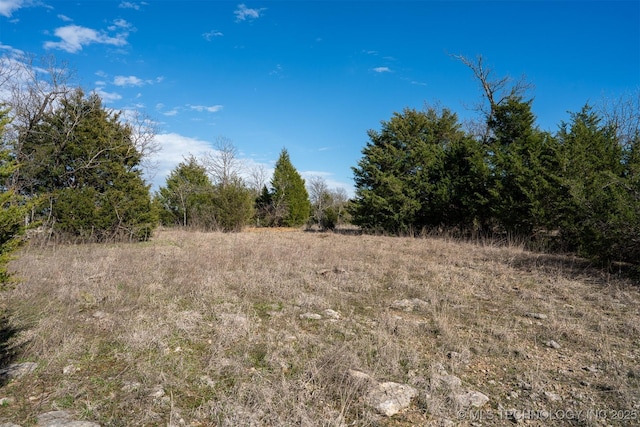 2 Hobbs Creek Rd, Collinsville, OK 74021 - photo 4
