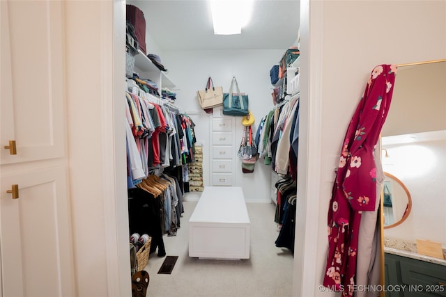 spacious closet with carpet floors