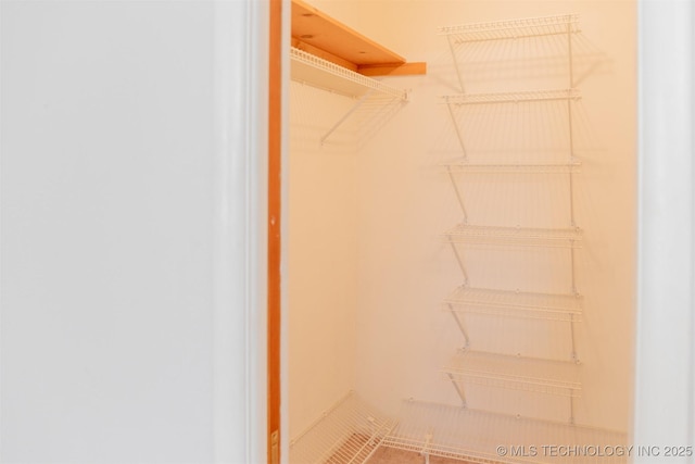 view of walk in closet