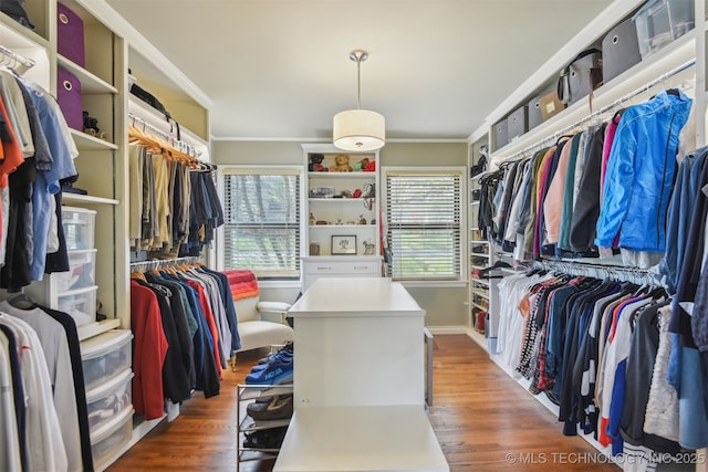 walk in closet with wood finished floors