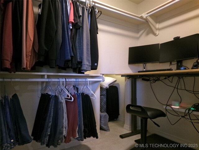 view of spacious closet