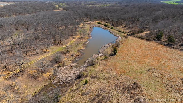 29172 County Road 3620, Stonewall, OK 74871 - photo 5