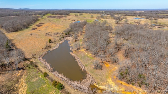 29172 County Road 3620, Stonewall, OK 74871 - photo 6