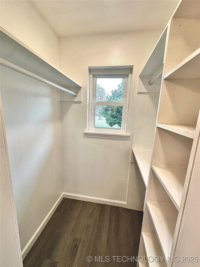 spacious closet with dark wood-type flooring