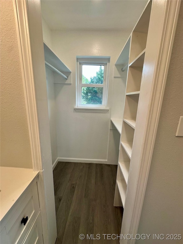walk in closet featuring dark wood-type flooring