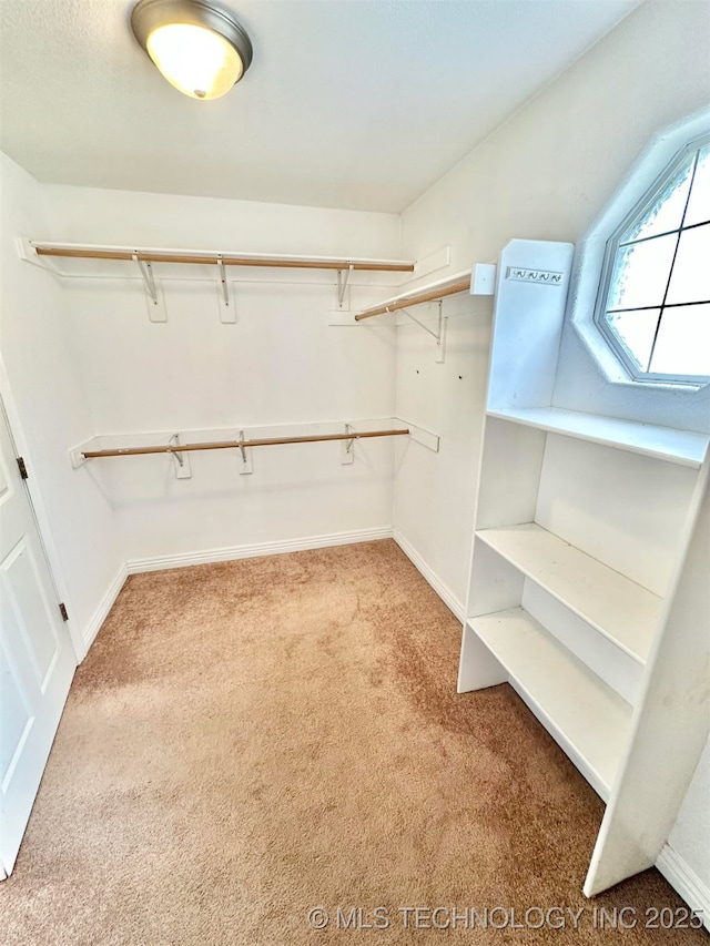 walk in closet with carpet