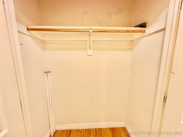 spacious closet featuring light wood-style floors
