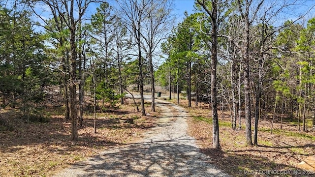 1739 NW 136th Rd, Wilburton, OK 74578 - view of road