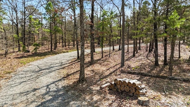 1739 NW 136th Rd, Wilburton, OK 74578 - view of local wilderness