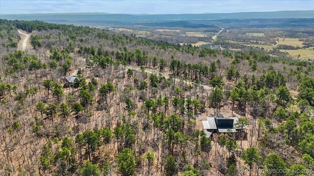 1739 NW 136th Rd, Wilburton, OK 74578 - aerial view with a view of trees