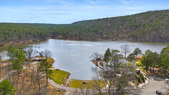 1739 NW 136th Rd, Wilburton, OK 74578 - property view of water with a forest view