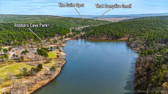 1739 NW 136th Rd, Wilburton, OK 74578 - birds eye view of property with a water view and a wooded view