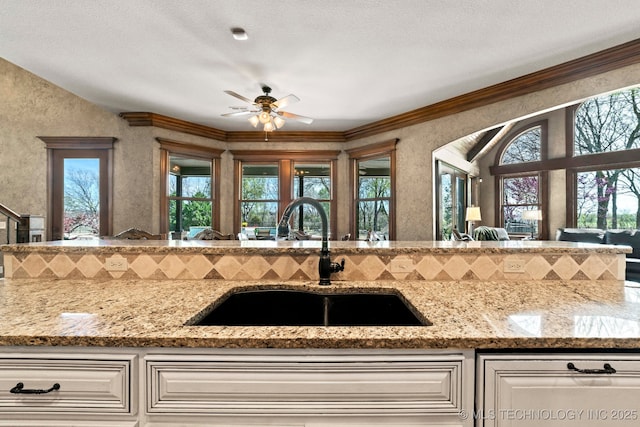 9931 N Chadford Rd, Owasso, OK 74055 - kitchen with decorative backsplash, healthy amount of natural light, a ceiling fan, and crown molding