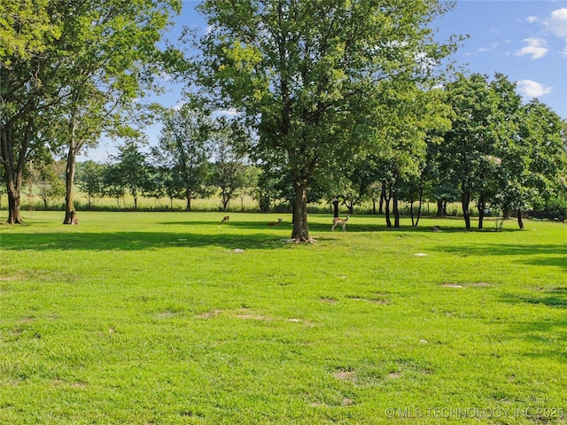 view of yard