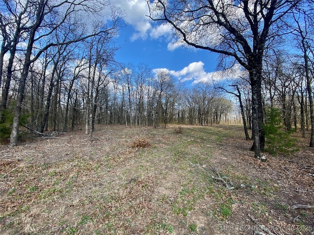 001 State Highway 76, Wilson, OK 73463 - photo 4