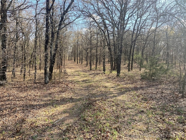 001 State Highway 76, Wilson, OK 73463 - photo 23