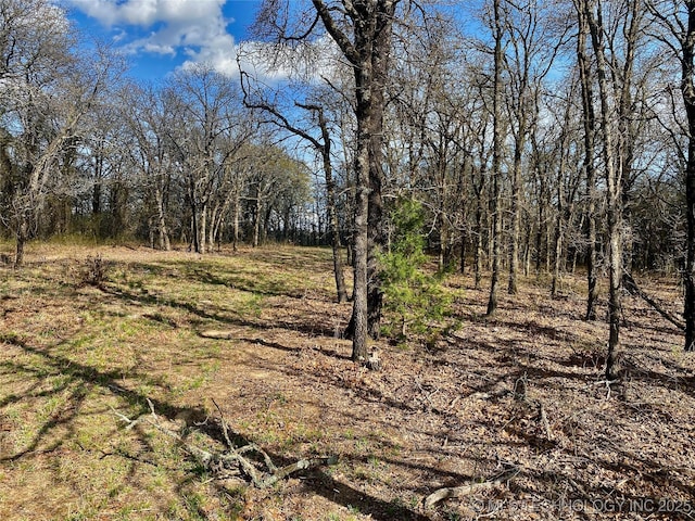 001 State Highway 76, Wilson, OK 73463 - photo 13