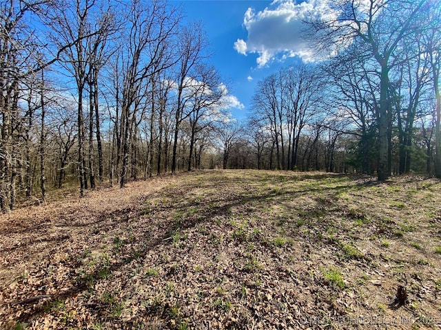 001 State Highway 76, Wilson, OK 73463 - photo 14