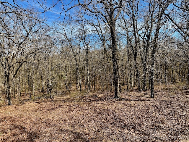 001 State Highway 76, Wilson, OK 73463 - photo 16